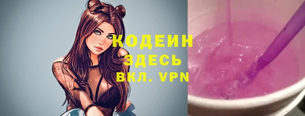 шишки Вяземский