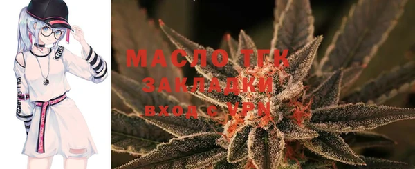 шишки Вяземский