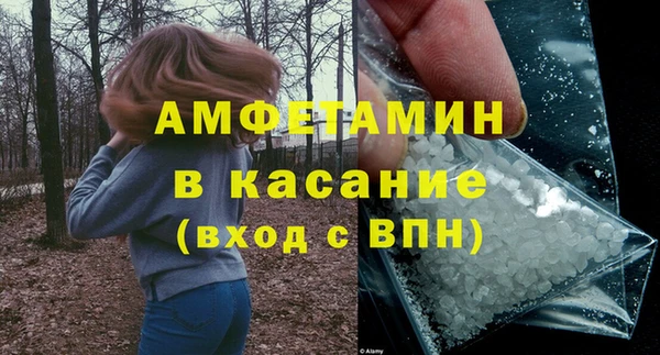 шишки Вяземский