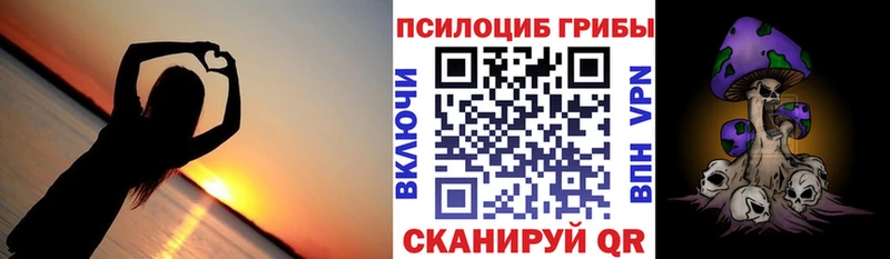 Псилоцибиновые грибы прущие грибы  Купить закладки  Коркино 